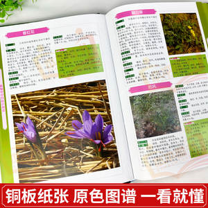 完全版 漢方薬カラー地図帳百科事典 本物のイラスト入り参考書 伝統的な中国語 - Product Image 5