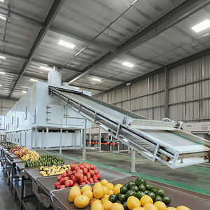 Sécheuse pour le séchage du poivre avec chauffage à la vapeur ou à l'électricité - Product Image 3