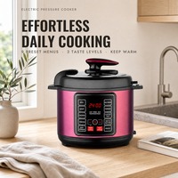 Cuisinière à pression électrique intelligente 5L 6L, affichage LED OEM, revêtement antiadhésif en acier inoxydable, usage domestique