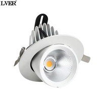 Tronc d'éléphant réglable Spot encastré LED Petit Cob Anti-éblouissement Downlight pour usage commercial Moderne pour les magasins de vêtements