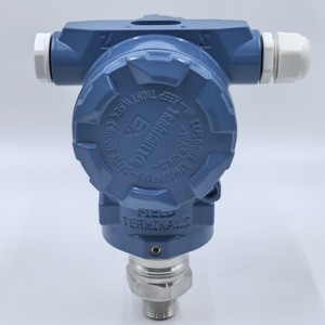 चीनी हेसी दबाव ट्रांसमीटर 0 ~ 1kpa-70mpa कामकाजी तापमान-40-85-बिक्री के लिए दबाव माप - Product Image 3