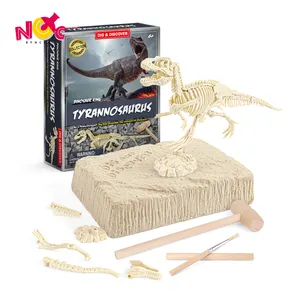 Dinosaur skeleton dig kit skull stem dinosaur fossil excavation toy dig kit per bambino