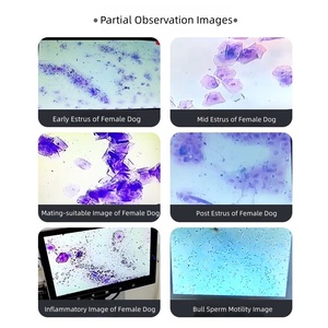Microscope biologique numérique à température constante avec plateau chauffant, écran caméra 1920x1080, indice de protection IP55, grossissement 100X-640X pour - Product Image 4