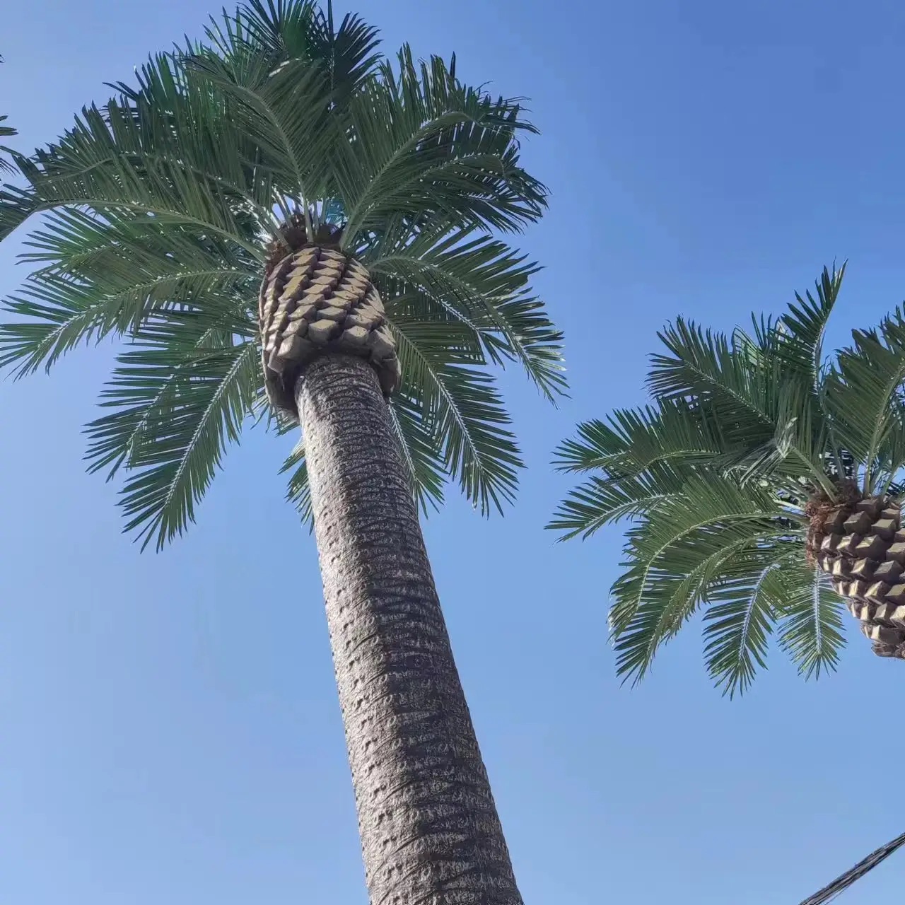King palm tree palmier de date artificiel, decorazione esterna 8 metri di altezza palma da datteri in plastica artificiale