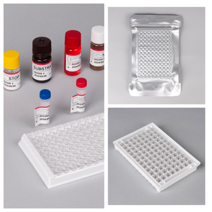 Kit ELISA AntihIV a Precio de Fábrica, Prueba Rápida de Sangre para Uso Clínico, Se Acepta OEM - Product Image 6