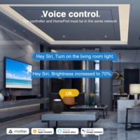 Controlador LED RGBCCT Inteligente Matter WIFI 20A Max, Material de PC Ignífugo Matter Threed 5-24V para Alexa, Google Home Kit y App