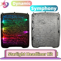 Kit de plafond étoilé à fibres optiques dynamiques 0,5 mm, symphonie de fibres optiques, ciel étoilé, garantie 3 ans, source de lumière LED distribuée