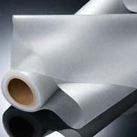 Fabricant professionnel Film argenté hautement réfléchissant en EVA rouge Épaisseur 0,55 mm Largeur 300-1000 mm Garantie 3 ans Panneau solaire