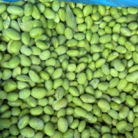 Noyau de soja congelé IQF de la meilleure qualité décortiquées Edamame et légumes de soja vert