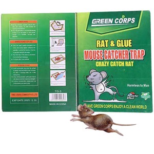 Usine fournit directement <span class=keywords><strong>un</strong></span> nouveau Style de piège à colle de <span class=keywords><strong>Rat</strong></span> de souris en carton de haute qualité - Product Image 1