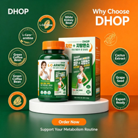 Offre Spéciale – Capsules Coréennes Minceur Coupe-Faim à Marque Blanche : L-Carnitine, Haricot Blanc, Soutien Digestif et Énergétique