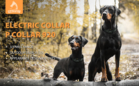 Collier de choc de contrôle Rechargeable électrique étanche Offre Spéciale pour 2 chiens à distance 1200m collier de dressage de chien professionnel