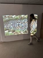 Équipement de projecteur de jeu mural interactif de qualité supérieure pour enfants