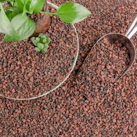 En gros GREENWATER Mélange de substrat pré-mélangé de pierre ponce de lave rouge à grain moyen, 100% naturel, mélange de terre inorganique pour Cactus, Succulentes et Bonsaï