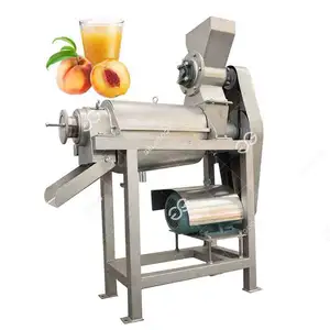 Beste Prijs Commerciële Citroen Watermeloen Coconut Tomaat Apple Knoflook Gember Wortel Sap Making Machine Voor Wortelsap