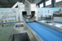 Entièrement automatiquement frites automatique machine à frites de pommes de terre congelées faisant la machine en ventes