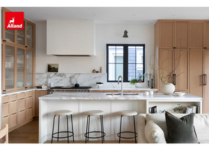 Alland Modern Minimalist <strong>Thin</strong> Shaker Framed Wood Grain Kitchen Cabinet With Marble Countertop and Glass <strong>Cupboard</strong> - Product Image 3