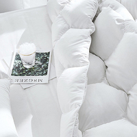 Parure de lit en duvet 100%, ensemble de literie de luxe, personnalisation de cadeau d'hôtel de mariage, grande taille, prix bon marché