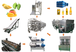 Máquina de Pulpa de <span class=keywords><strong>Mango</strong></span> a Escala de Laboratorio para Investigación y Elaboración de Muestras en Laboratorios Europeos y Americanos - Product Image 6