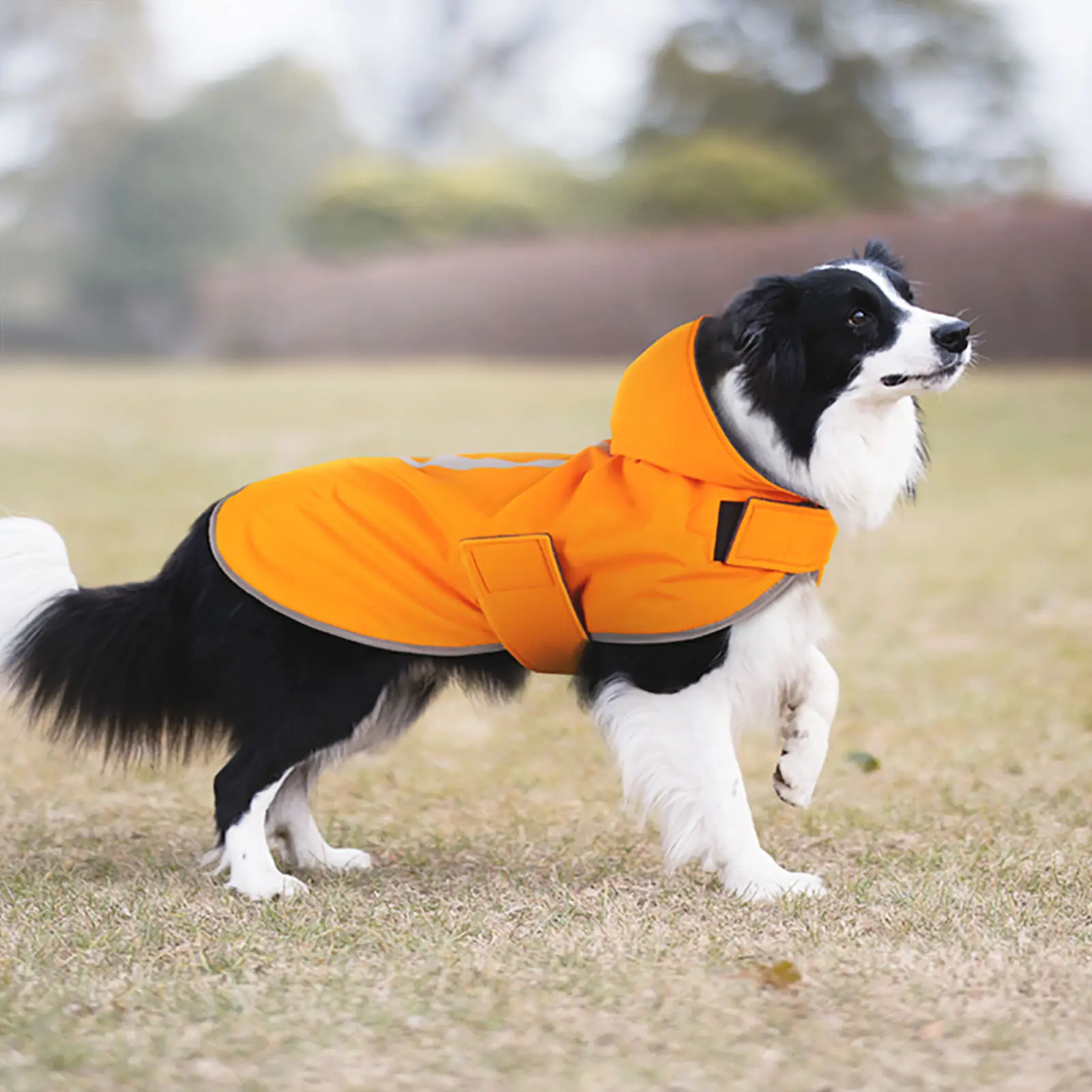 ペット製品トップセラーホットセール犬防水服ペット旅行用品夜反射犬レインコート
