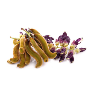Высококачественный порошок экстракта Mucuna Pruriens Mucuna puriens