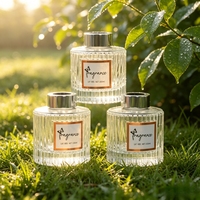 Fabricant de flacons diffuseurs en verre de haute qualité 200 ml pour marques de parfums d'intérieur et pour la marque privée