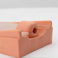 Simulador de anatomía del órgano reproductor femenino, modelo anatómico para la escuela de medicina, entrenamiento de colocación y extracción de DIU, silicona médica