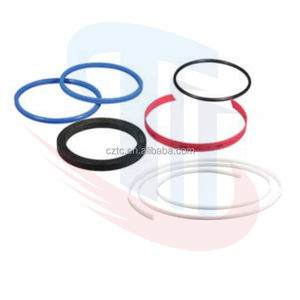 Kit <span class=keywords><strong>de</strong></span> reparación <span class=keywords><strong>de</strong></span> piezas <span class=keywords><strong>de</strong></span> bomba <span class=keywords><strong>de</strong></span> hormigón Zoomlion juegos <span class=keywords><strong>de</strong></span> sellos Outrigger soporte cilindro telescópico 0160402F6000 - Product Image 4