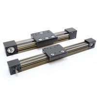 Module de rail de guidage à entraînement par courroie linéaire à grande vitesse CNC en aluminium robuste avec course de 2000mm 2500mm 3000mm