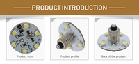 Vente directe usine : Projecteurs LED RVB E10 E14 pour parcs d'attractions, blanc chaud, en plastique, IP20, 6 LED SMD3528 pour décoration extérieure et fêtes foraines