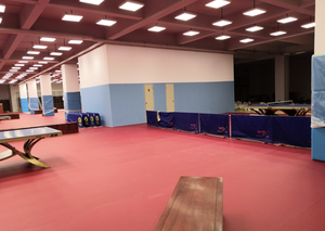 Tappetini Sportivi Indoor in PVC Enlio 5,5mm Approvati ITTF di Alta Qualità per Campi da <span class=keywords><strong>Ping</strong></span> <span class=keywords><strong>Pong</strong></span> Durevoli e Ignifughi - Product Image 5