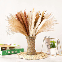Buket Rumput Pampas Ramah Lingkungan Warna Beige Netral untuk Dekorasi Pernikahan, Hari Ibu & Hari Valentine Grosir