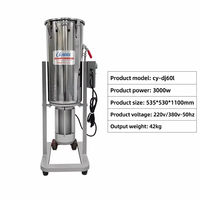 Commerciële 60L blender/mixer voor diverse groenten/fruit/koelvoedsel, industriële commerciële voedselhakselaar