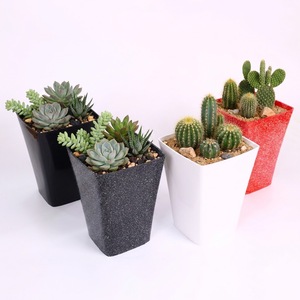 Pot de fleurs rectangulaire moderne en plastique PP, design à bords incurvés lisses, plusieurs options de finition, couleurs brillantes et mates pour table. - Product Image 1