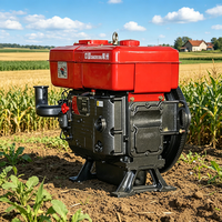 Moteur diesel monocylindre refroidi par eau Changfa ZS1115 à arbre vertical pour l'exploitation minière aurifère en Afrique (vente en gros)
