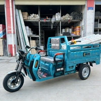 Triciclo Eléctrico de Carga Pesada para Huertos, con Gran Plataforma de Carga, Venta al Por Mayor