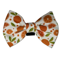 Fruitpatroon huisdier vlinderdas voor kat hond vakantie feest kostuum decoratie schattig verstelbare kraag accessoire huisdier nekaccessoire