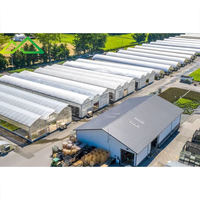 Serre commerciale multi-chapelles en film polyéthylène grande taille pour la culture hydroponique de tomates, fraises et légumes - Offre Spéciale