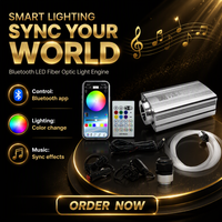 OEM DC12V 16W RGBW Funkelndes Aluminium-LED-Glasfaser-Sternenlicht mit App-Steuerung für Auto-Dachhimmel-Kit