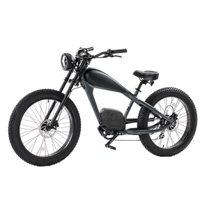 2025 BISEK personnaliser les couleurs Logos 26 pouces deux batteries au lithium 120KM gamme 350W vélos électroniques pour les trajets quotidiens - Product Image 2