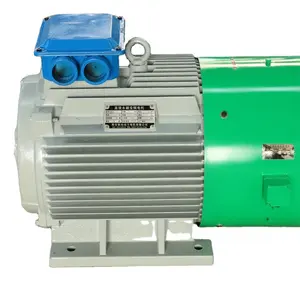 300 Vòng/phút 35kW Tốc Độ Thấp Động Cơ Mô-men Xoắn Cao