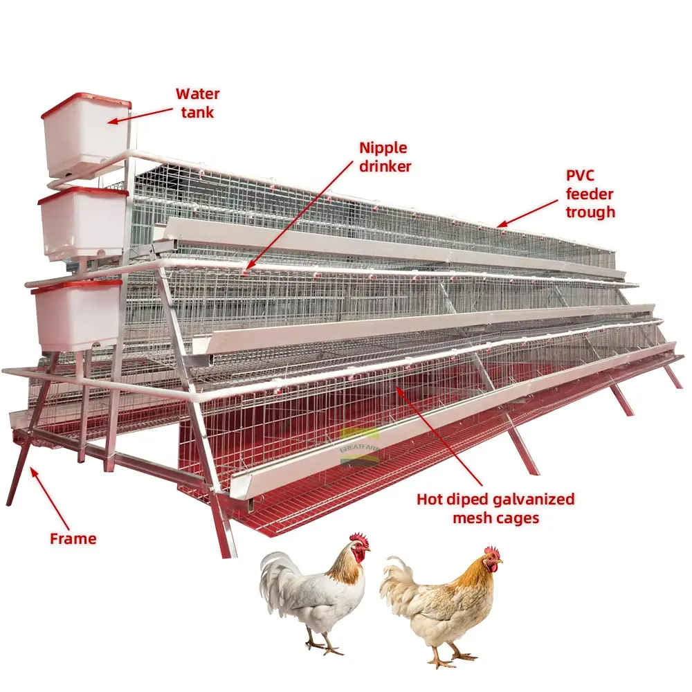 グレートファームAタイプバッテリーレイヤーチキンケージ自動卵家禽農業機器システム