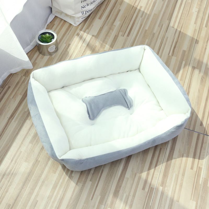 Bone socket - light gray-beige