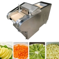 Industriële fruit- en groentesnijmachine/fruitschijfmachine/groentenblokjesmachine