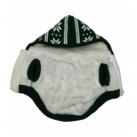 Pull pour chien personnalisable à double couche doublé de peluche, pull épais pour chien, vêtements pour animaux de compagnie