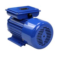 Moteur asynchrone monophasé AC 0,55 kW 220 V 50/60 Hz, efficacité IE1/IE2, montage sur pied, boîtier en fonte, différentes tailles