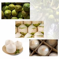Éplucheur de noix de coco léger portatif de machine de décorticage de noix de coco pour l'usage de ménage et de petite entreprise
