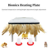 12 "X 12" Ángulo de altura ajustable 50W Red Day Old Chicks Placa de calentamiento Calentador de incubadora para pollito