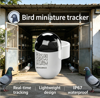 Traceur GPS compact pour oiseaux avec étanchéité IP68, 30 jours d'autonomie et charge magnétique pour pigeons