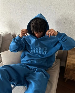 500 Gsm Streetwear Puff Printing Heavyweight Cotton Embroidered 3D Custom Print Logo Oversized Unisex Men's Pullover Hoodie - Product Image 1